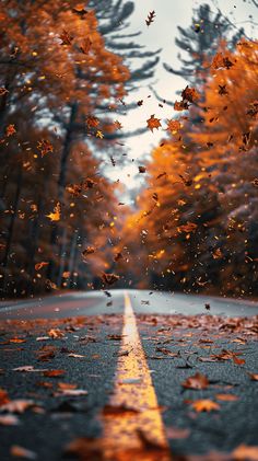 an empty road surrounded by trees with falling leaves on the ground and in the air