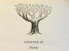 an old book with a tree drawn on it