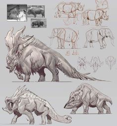 some sketches of rhinos and other animals that are in different positions, including the tail