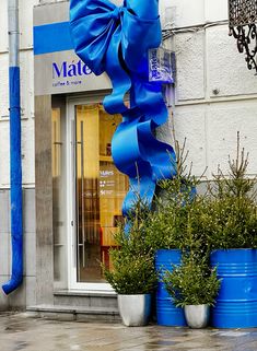 a large blue bow on the side of a store front window next to potted plants