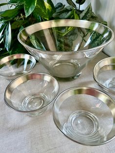 four glass bowls sitting on top of a table next to a potted green plant