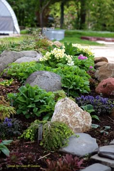 a garden with rocks and flowers in it