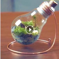 a light bulb filled with plants and rocks on top of a wooden table next to a video player