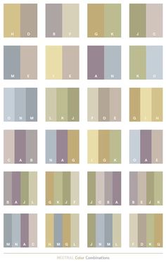 the color scheme for neutral tones