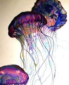 two jellyfish are swimming in the water