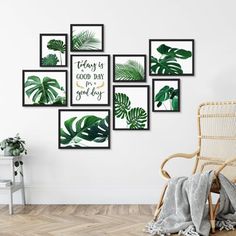 a room with white walls and green leaves on the wall, there is a wicker chair in front of it