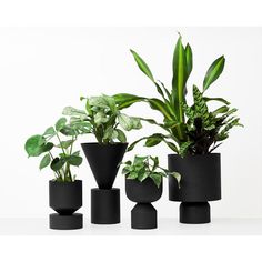 three black planters with plants in them on a white surface, one has green leaves