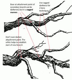 the diagram shows how branches are connected to each other and what they do with them