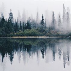 a lake surrounded by trees and fog in the air with water reflecting it's surface