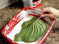 a person holding a leaf in a red and white dish with yogurt on it