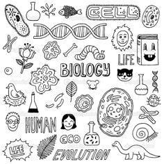 doodles with the words biology in black and white