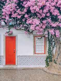 a tree with pink flowers in front of a white building and red door on the side