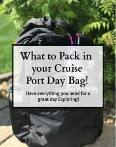 a backpack with the words what to pack in your cruise port day bag have everything you need for a great day exploring