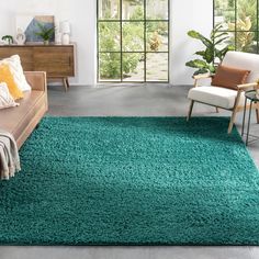 a living room filled with furniture and a green rug