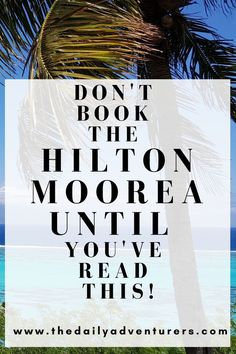 a palm tree with the words don't book the hilton moore until you've read this