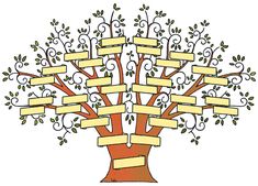 a family tree with many branches and name tags