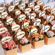 kraft-paper-succulent-favors-with-colorful-succulents Plant Wedding Favors For Guests, Plant Gifting Ideas, Succulent Packaging, Plant Business Ideas, Plant Giveaway, Plants Gift Ideas, Wedding Souvenir Ideas, Succulent Business, Succulent Gift Ideas