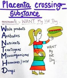 a drawing of a woman holding a hot dog in her hand with the words placenta crossing substance on it