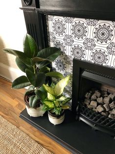 two potted plants sitting on top of a black shelf next to a fire place