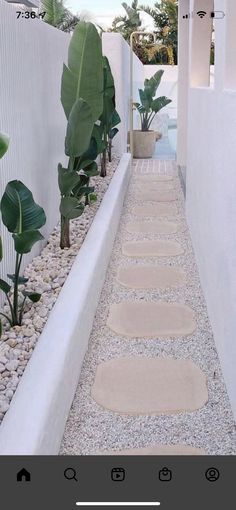 a long narrow walkway between two buildings with plants on each side and rocks in the middle