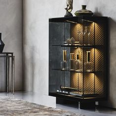 a black cabinet with glass shelves and lights