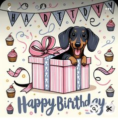 a happy birthday card with a dachshund in a gift box and cupcakes