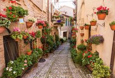 an alleyway with potted plants and flowers on the walls, along with cobblestone pavement