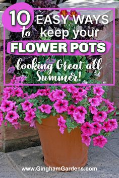 flowers in a pot with the words 10 easy ways to keep your flower pots looking great all summer