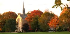 an image of a church in the fall