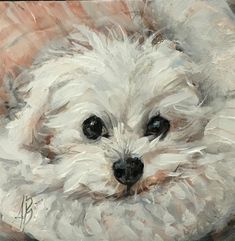 a painting of a small white dog with black eyes and long whiskers on it's fur