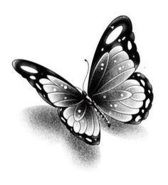 a black and white drawing of a butterfly