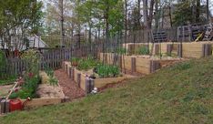 a garden area with raised beds and various plants