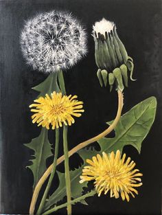 a painting of dandelions on a black background