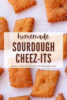 homemade sourdough cheez - it's with text overlay