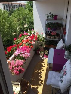 a balcony with potted plants and flowers on it