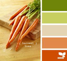 some carrots are on a cutting board with the color scheme in orange and green