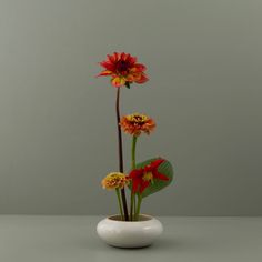 a white vase filled with flowers on top of a gray table next to a green wall