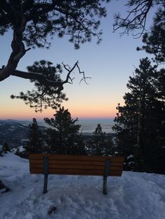 a wooden bench sitting on top of a snow covered slope next to pine tree's