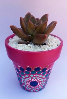 a small potted plant with white and blue designs on the rim, in a pink flower pot