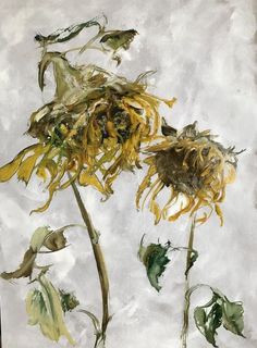 a painting of a sunflower on a white background