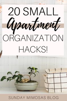 Best apartment organization tips for small apartments How To Organize Small Apartment Ideas, Small Home Organization Ideas Space Saving, Tiny Spaces Organization, How To Organize Small Apartment, How To Organize A Small Apartment, Organize Small Apartment, Small Home Organization Ideas, Small Home Organization, Small Apartment Storage Solutions