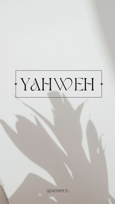 the shadow of a plant against a white wall that says yahweh on it