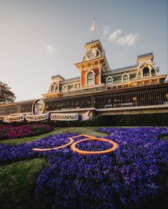 the entrance to disneyland california adventure park is surrounded by purple flowers