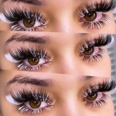 Eyelash Extensions With Color, Lash Patterns, Halloween Lashes, Bottom Lash Extensions, Best Eyelash Extensions, Lash Extentions, Lash Makeup