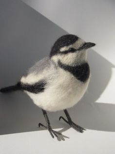 a small black and white bird sitting on top of a table next to a shadow