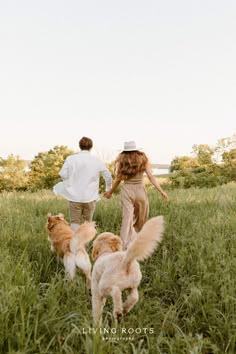 two people are walking in the grass with three dogs and one dog is running behind them