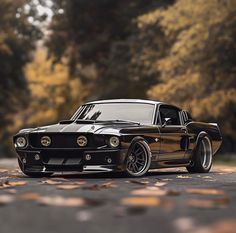 a black muscle car parked on the street in front of some autumn leaves and trees