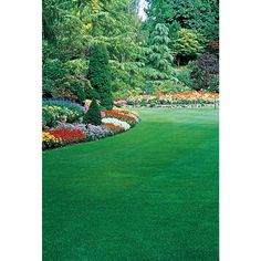 a lush green lawn surrounded by flowers and trees