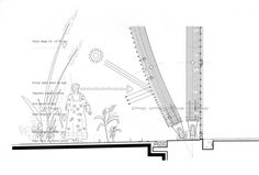 an architectural drawing shows the plan for a garden area with various plants and flowers, as well as a ruler