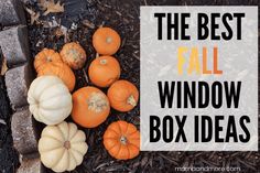 pumpkins and gourds with the words, the best fall window box ideas